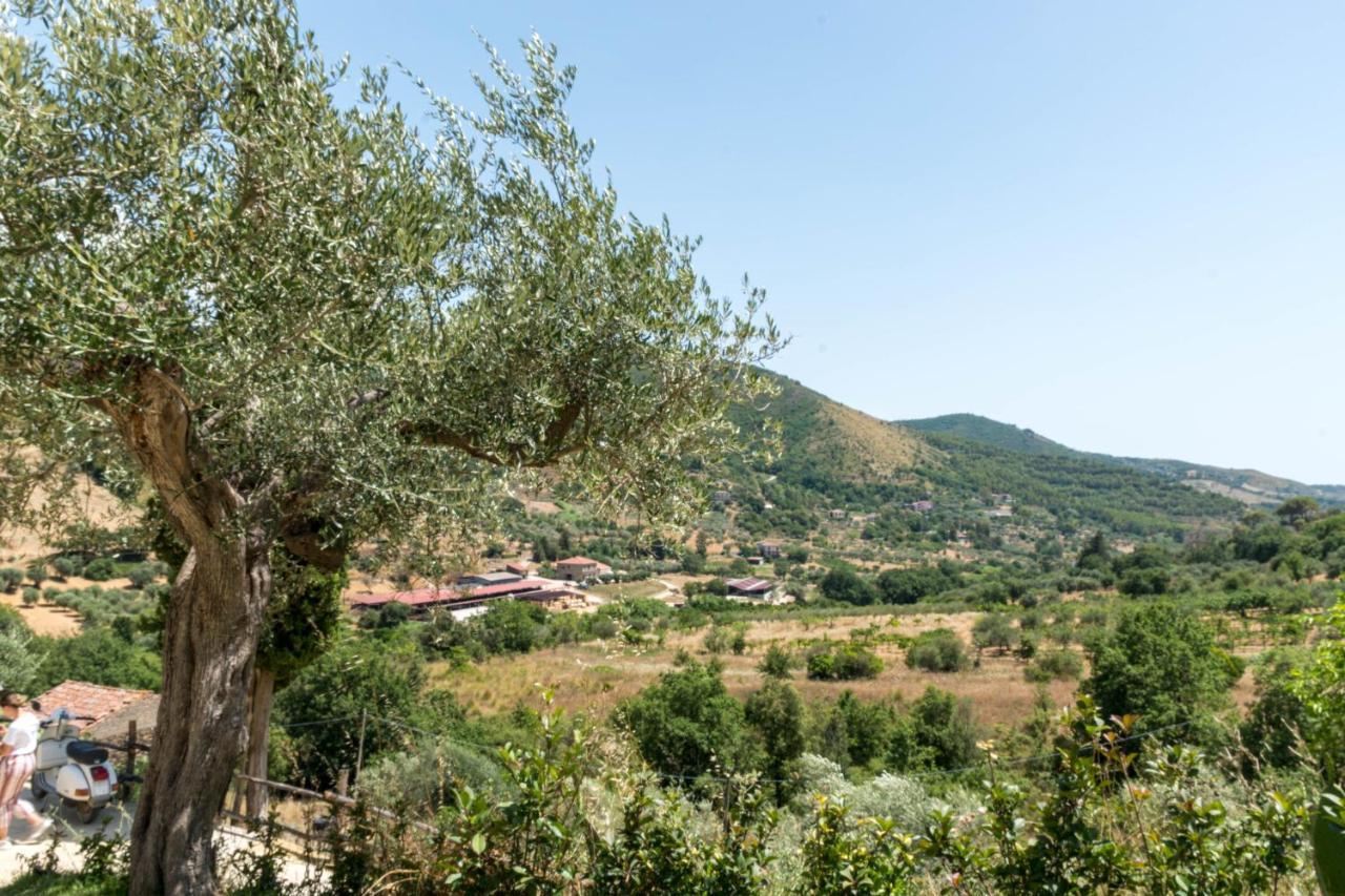 Bed & Breakfast Country House L'antica Pietra Perdifumo